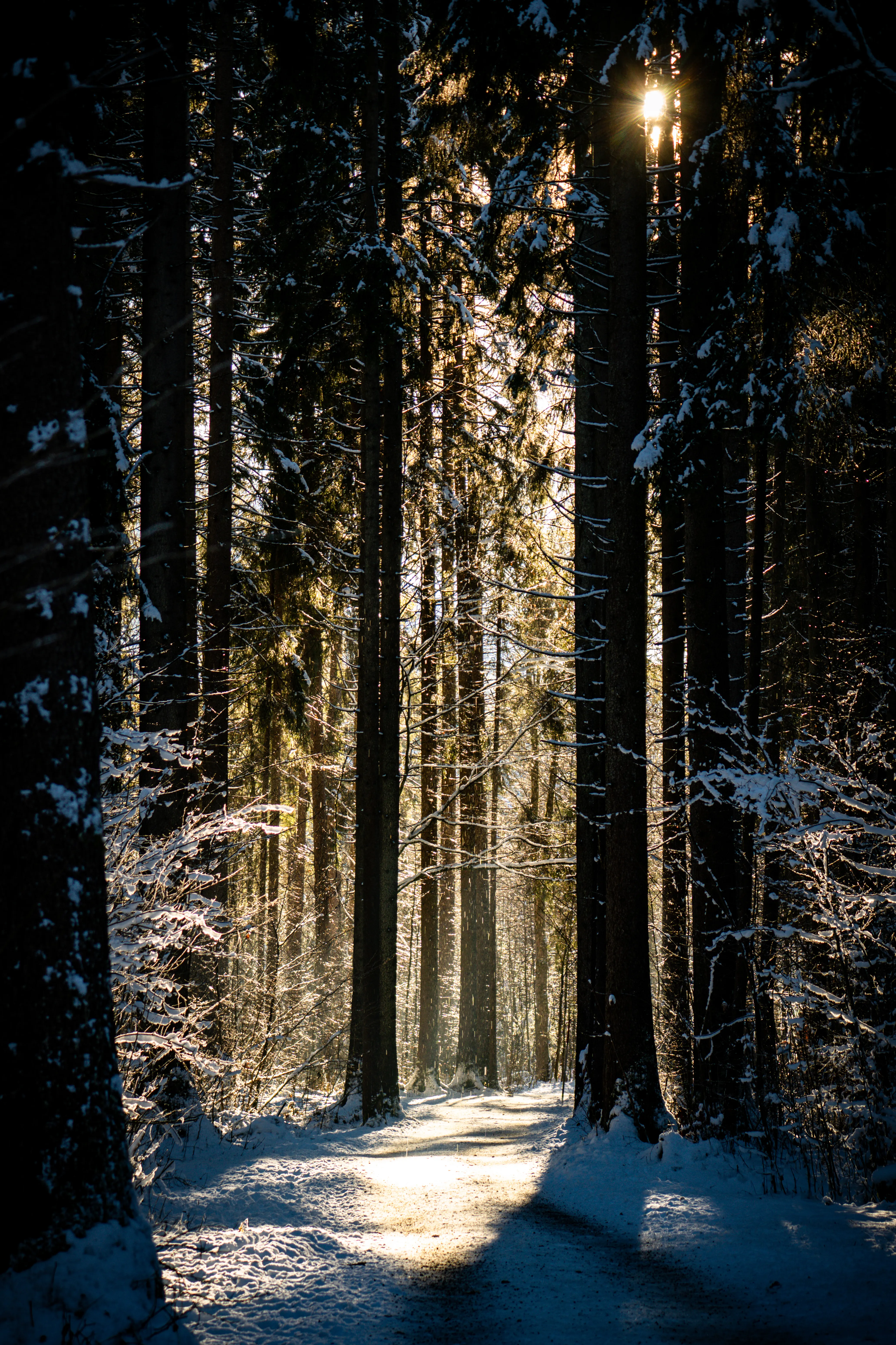 Aufnahme aus Balderschwang und Umgebung