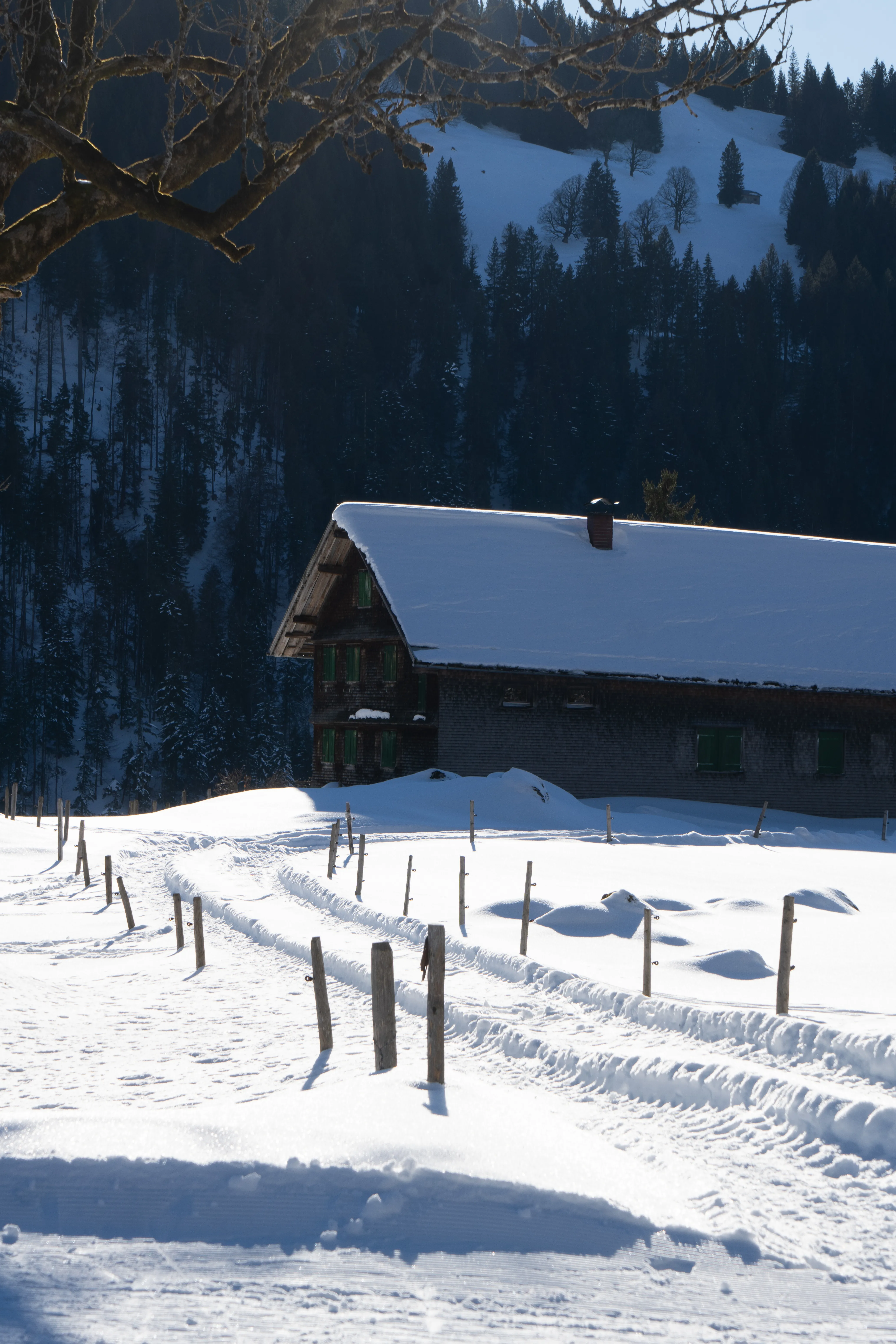 Aufnahme aus Balderschwang und Umgebung