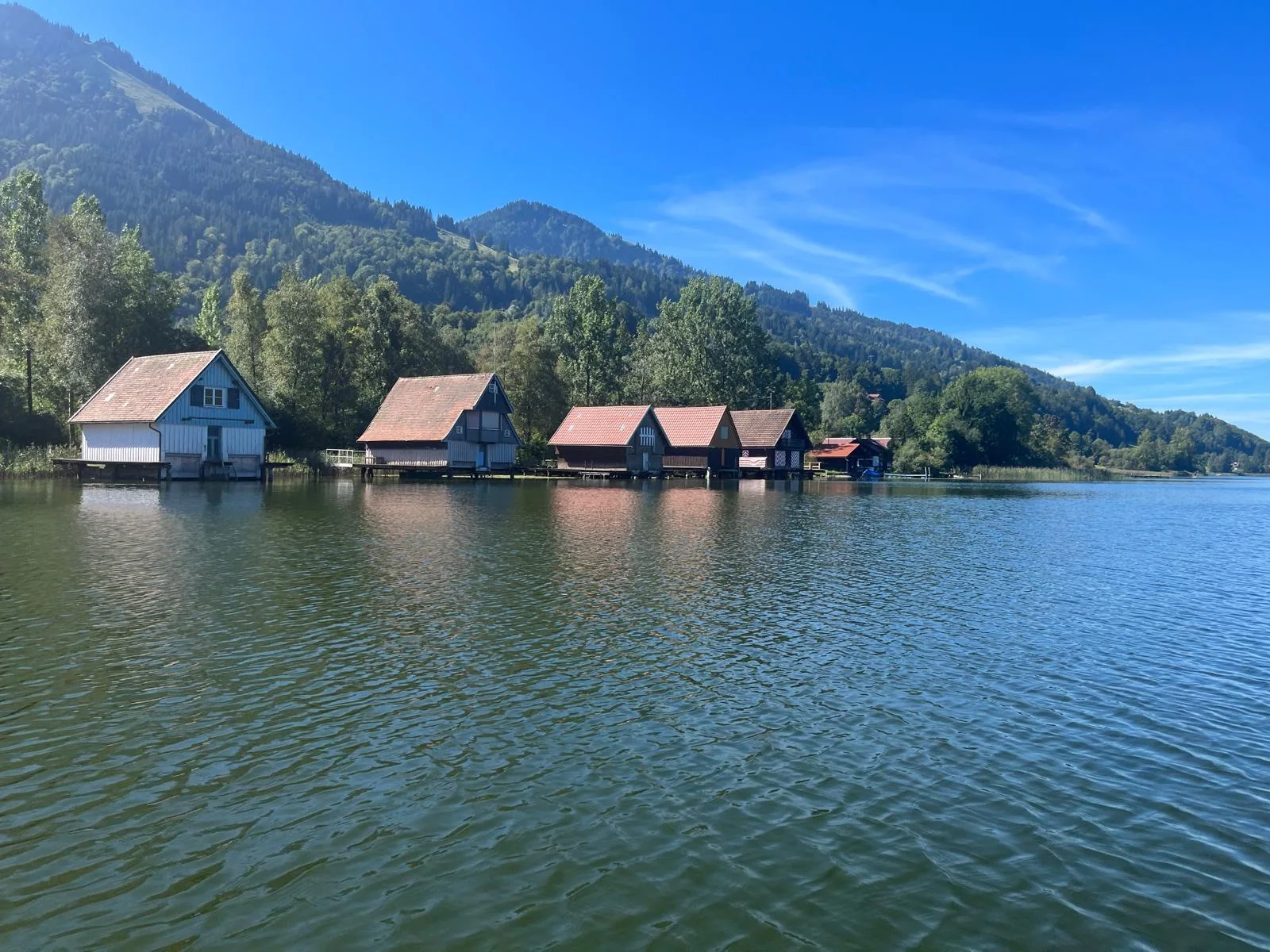 Reihe alter Bootshäuser auf Stelzen am Ufer des Großen Alpsees, dahinter ein bewaldeter Berghang unter blauem Himmel