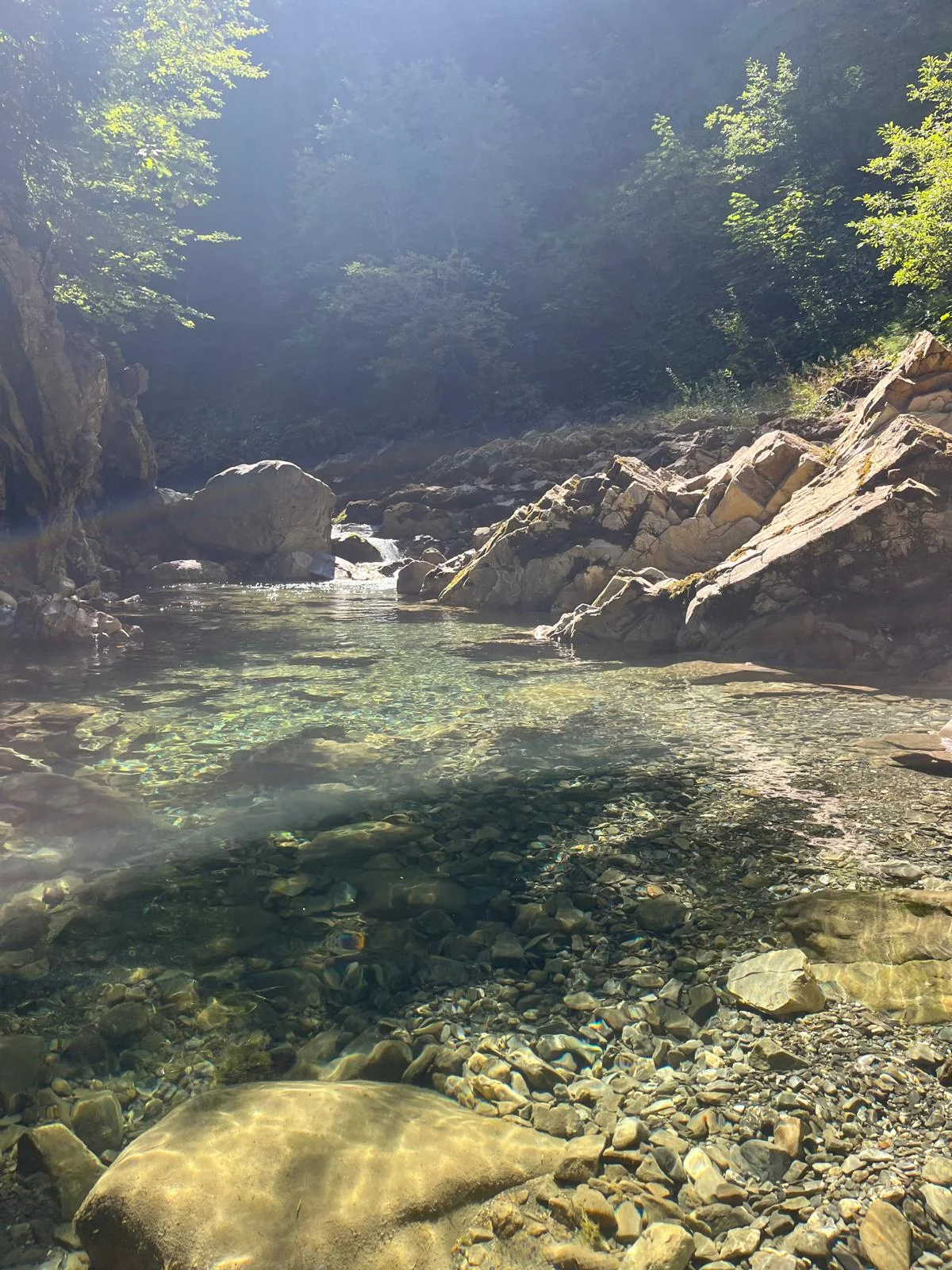 Glasklare Gumpe in der Bolgenach: türkis schimmerndes Wasser über hellem Kies, Felsstufen mit einem kleinen Wasserfall, darüber Sonnenstrahlen im bewaldeten Tobel