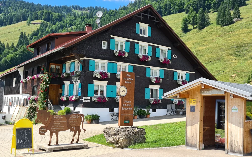 Alpe Berg – Familie Steurer