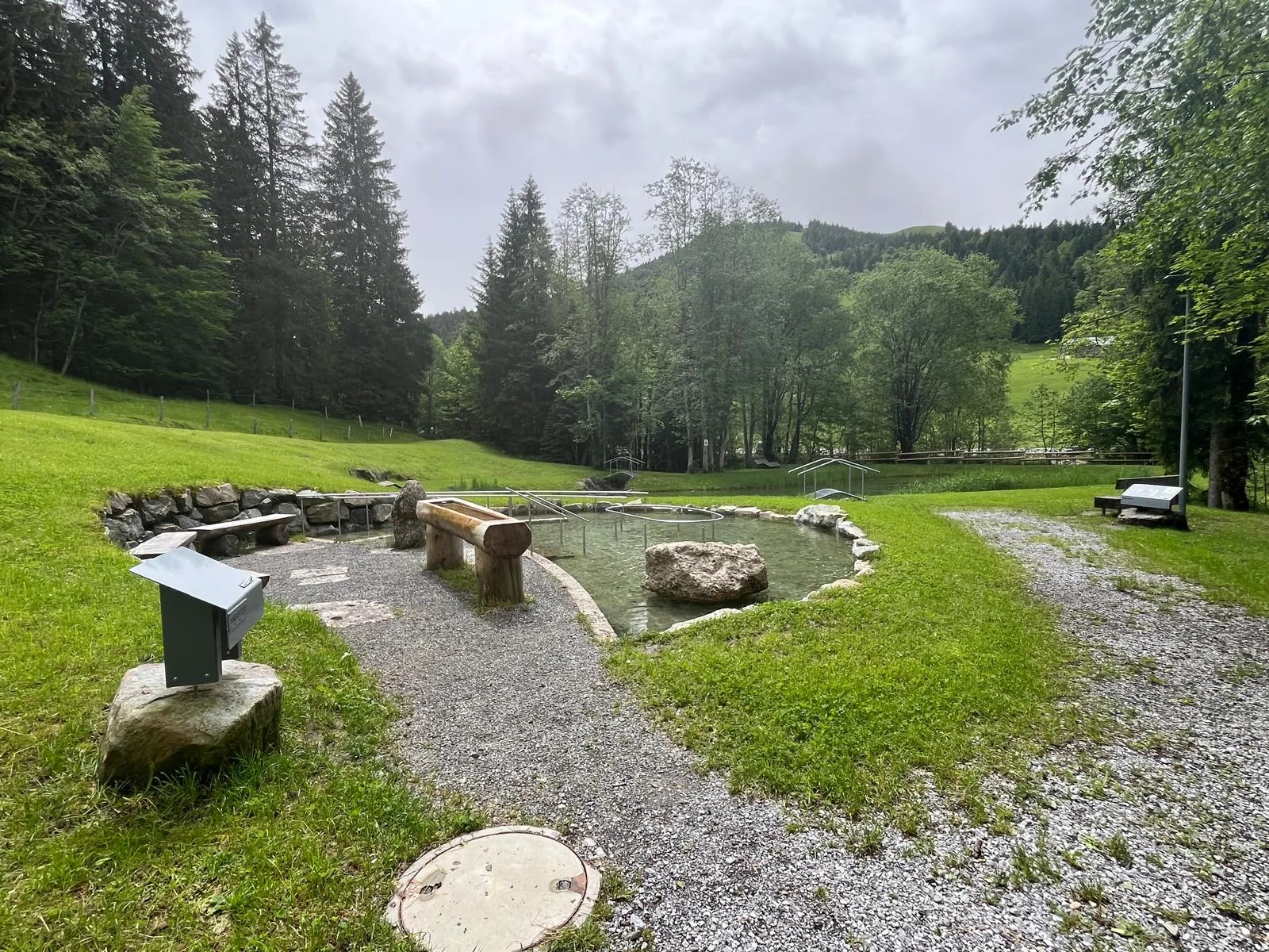 Kneippanlage am Dorfweiher in Balderschwang: ovales Tretbecken mit Steineinfassung und Edelstahlgeländer, daneben ein ausgehöhlter Baumstamm als Armbad, dahinter Wiese, Fichten und der Weiher