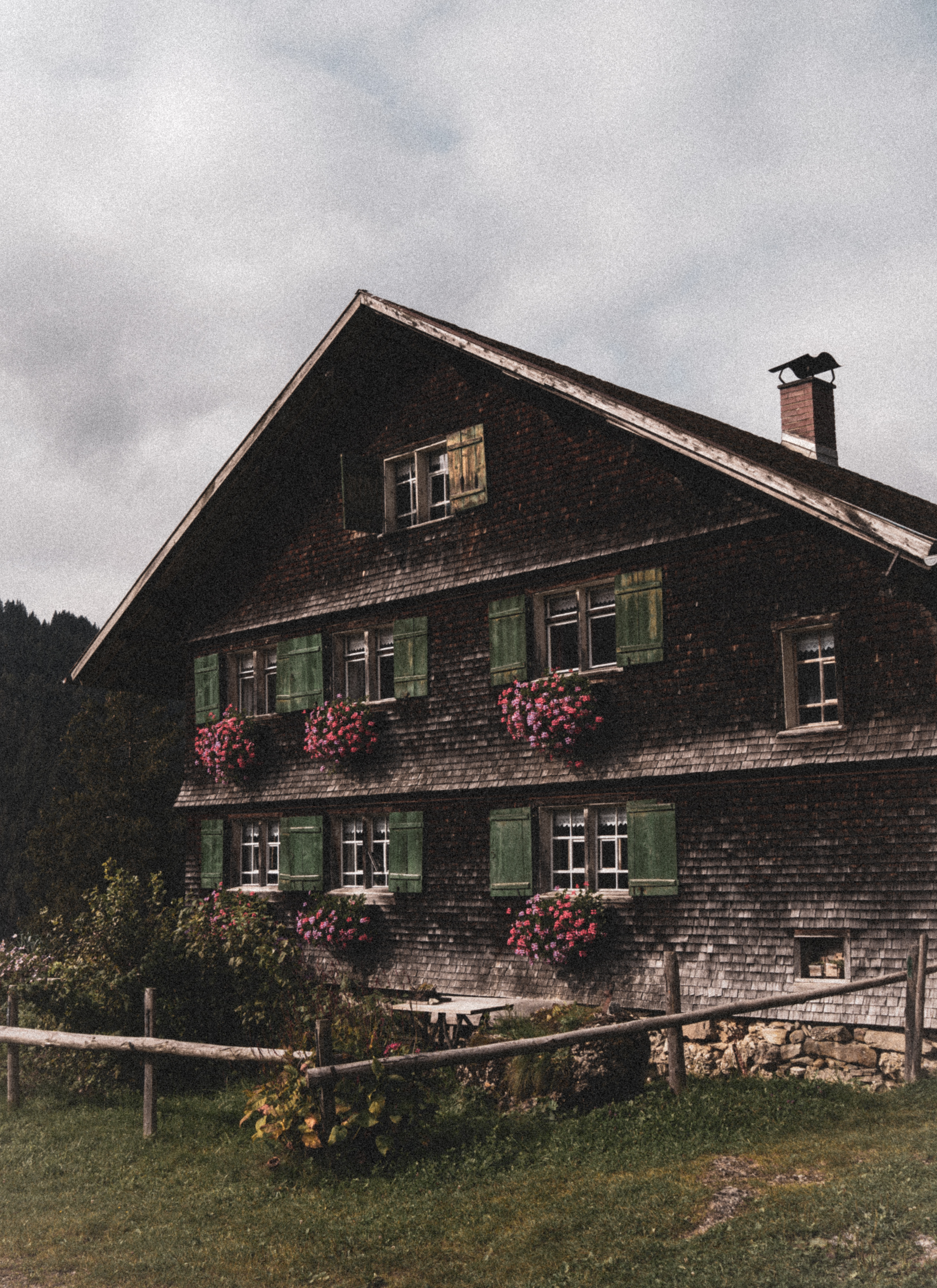 Aufnahme aus Balderschwang und Umgebung
