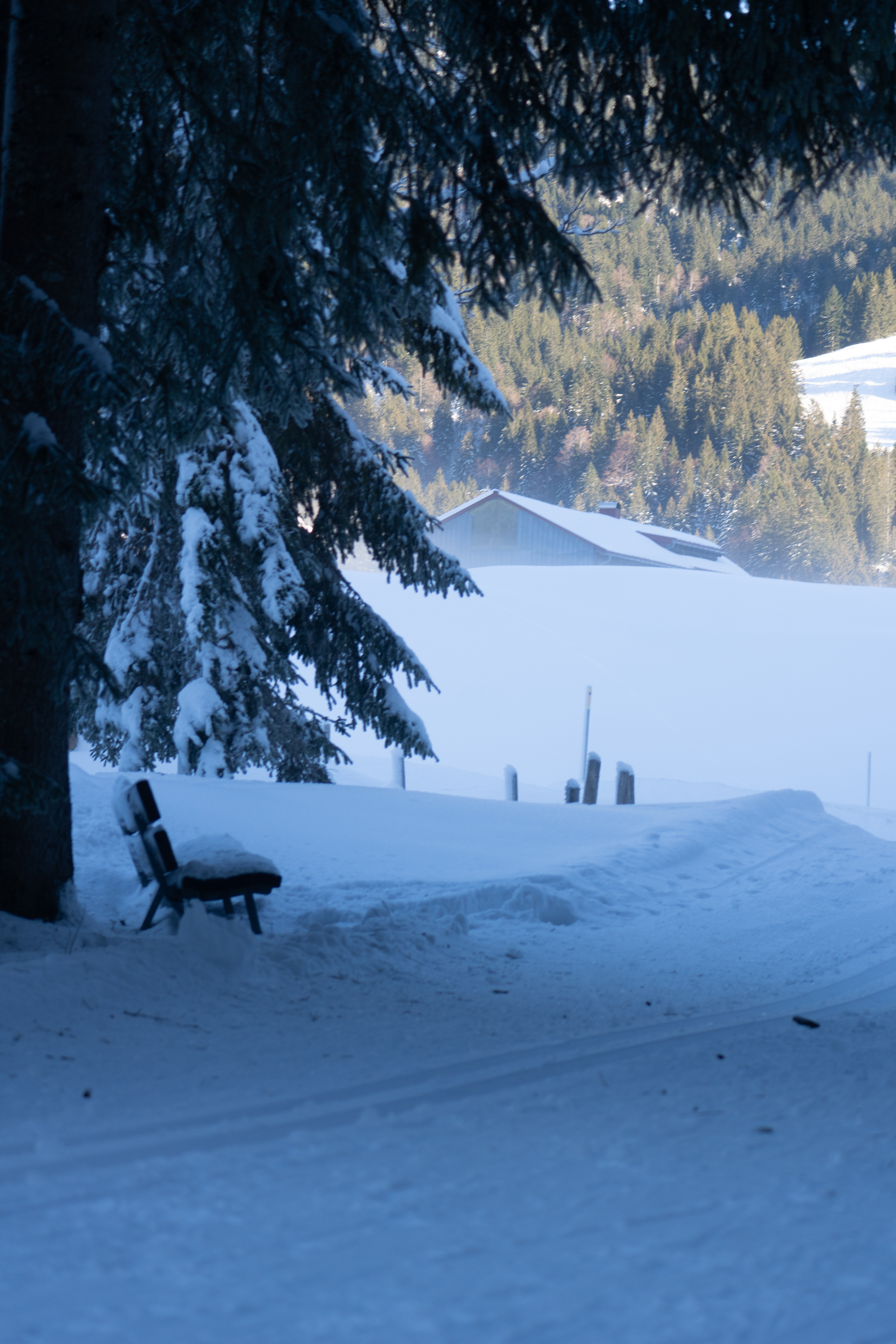Aufnahme aus Balderschwang und Umgebung