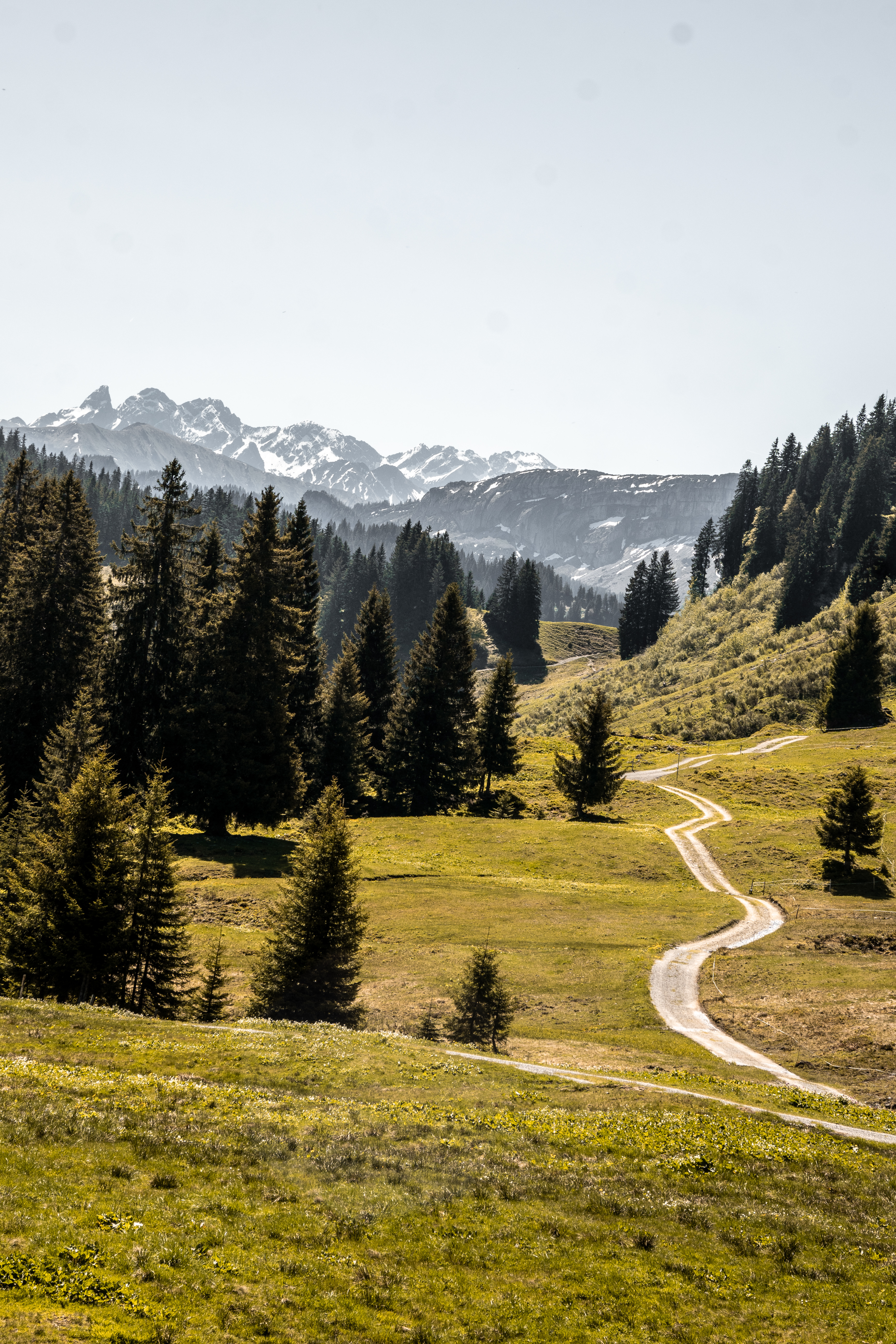 Aufnahme aus Balderschwang und Umgebung