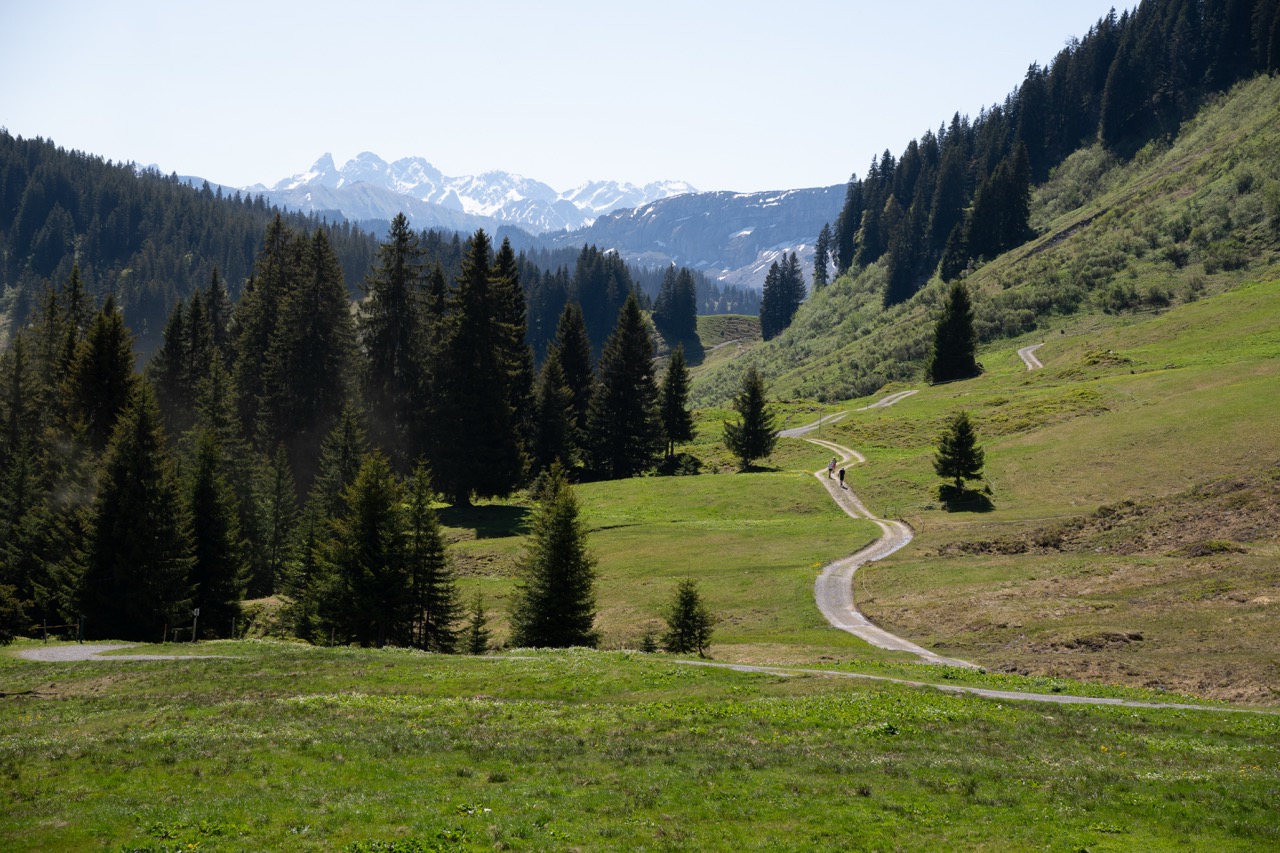 Aufnahme aus Balderschwang und Umgebung
