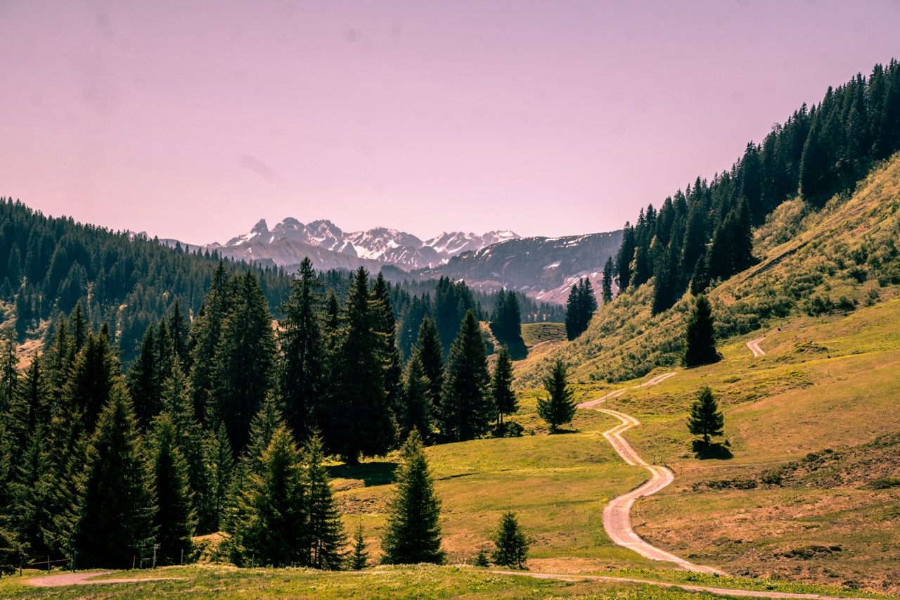 Aufnahme aus Balderschwang und Umgebung