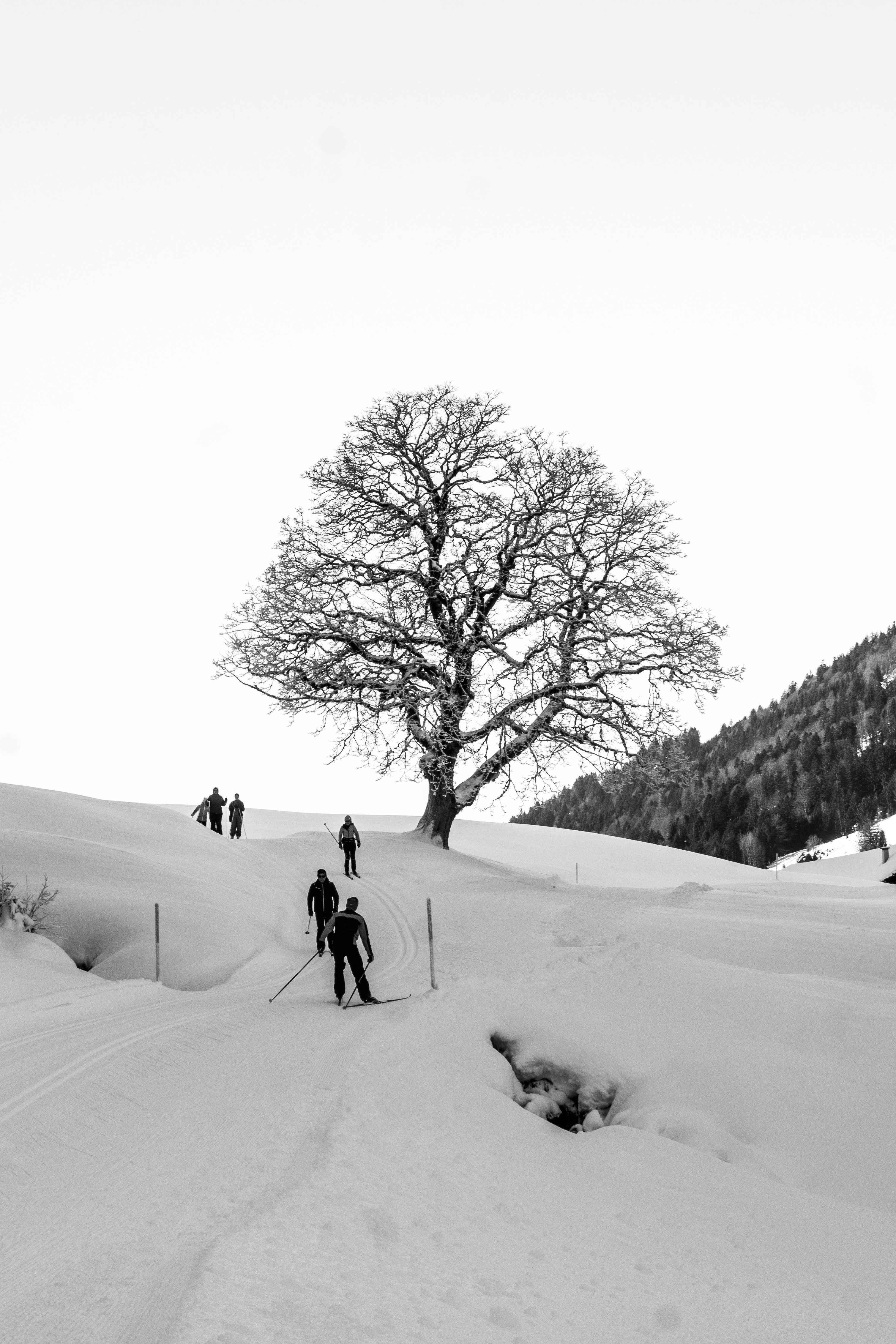 Aufnahme aus Balderschwang und Umgebung
