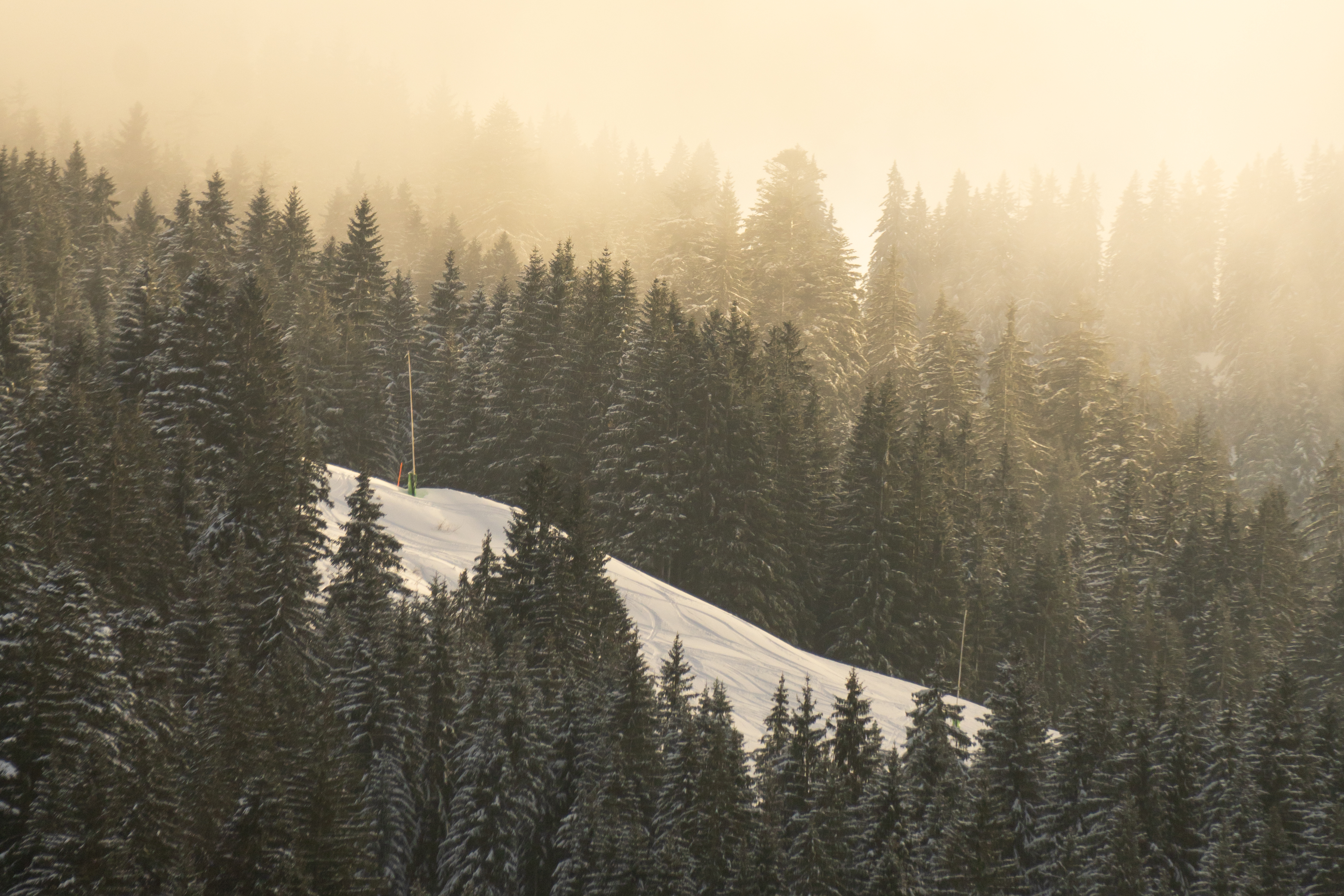 Aufnahme aus Balderschwang und Umgebung