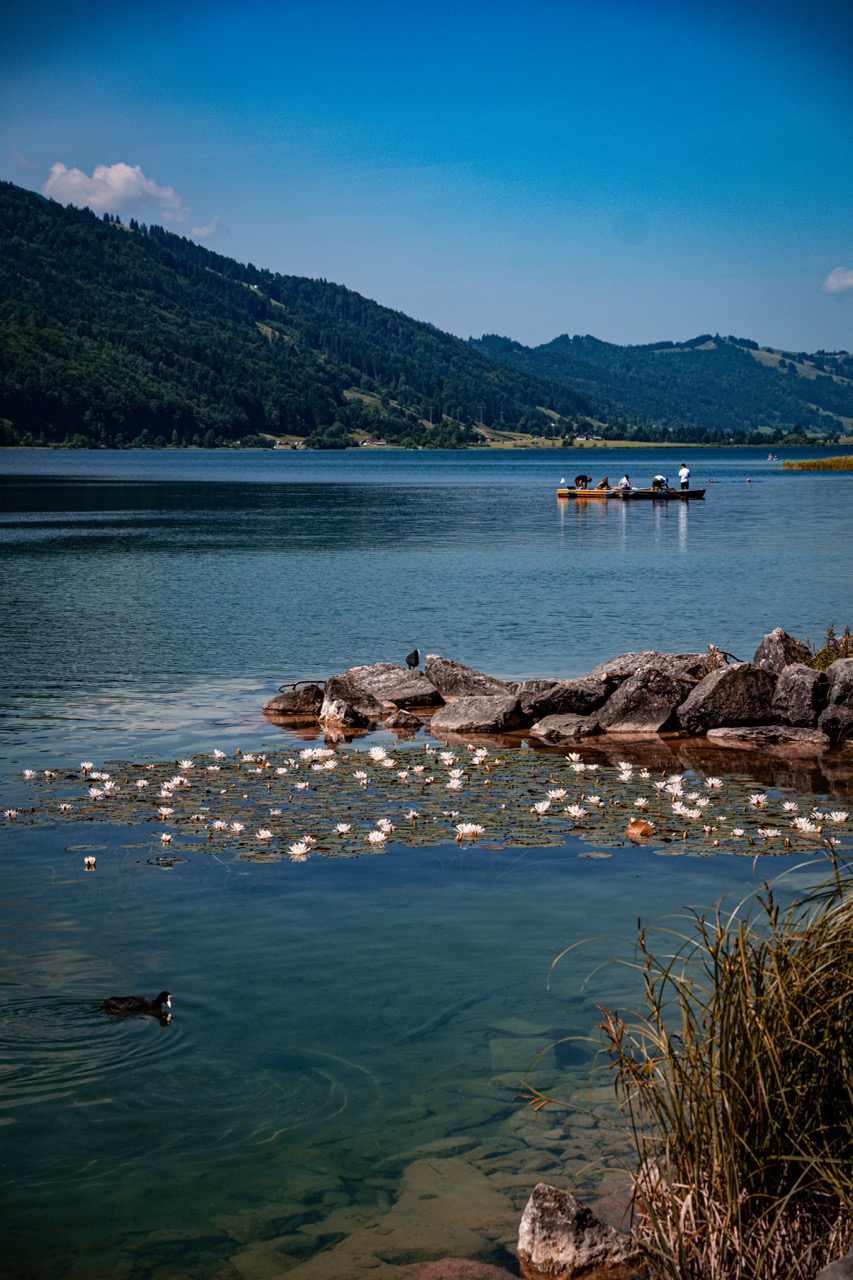 Aufnahme aus Balderschwang und Umgebung