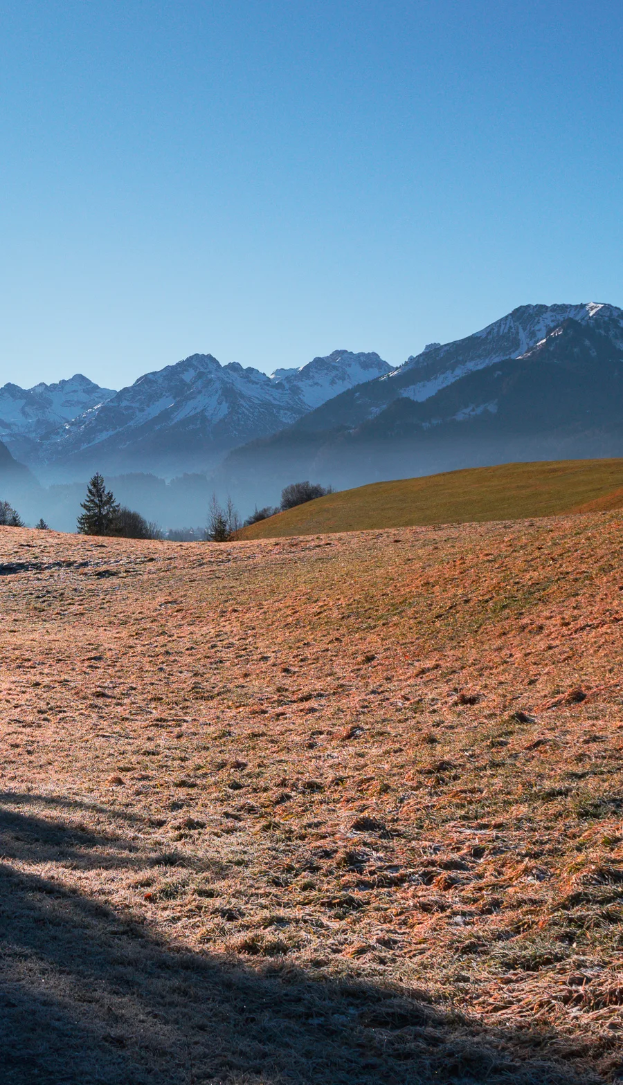 Aufnahme aus Balderschwang und Umgebung