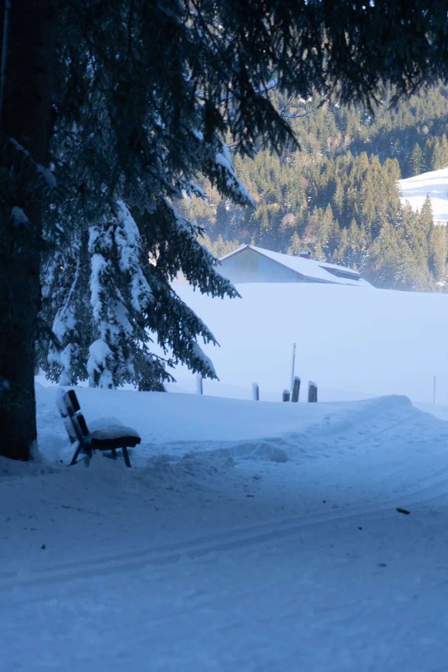 Aufnahme aus Balderschwang und Umgebung