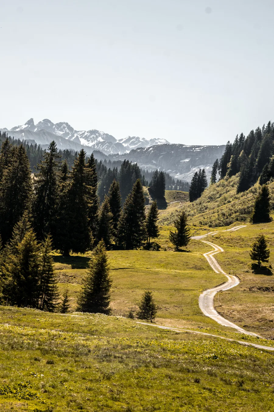 Aufnahme aus Balderschwang und Umgebung