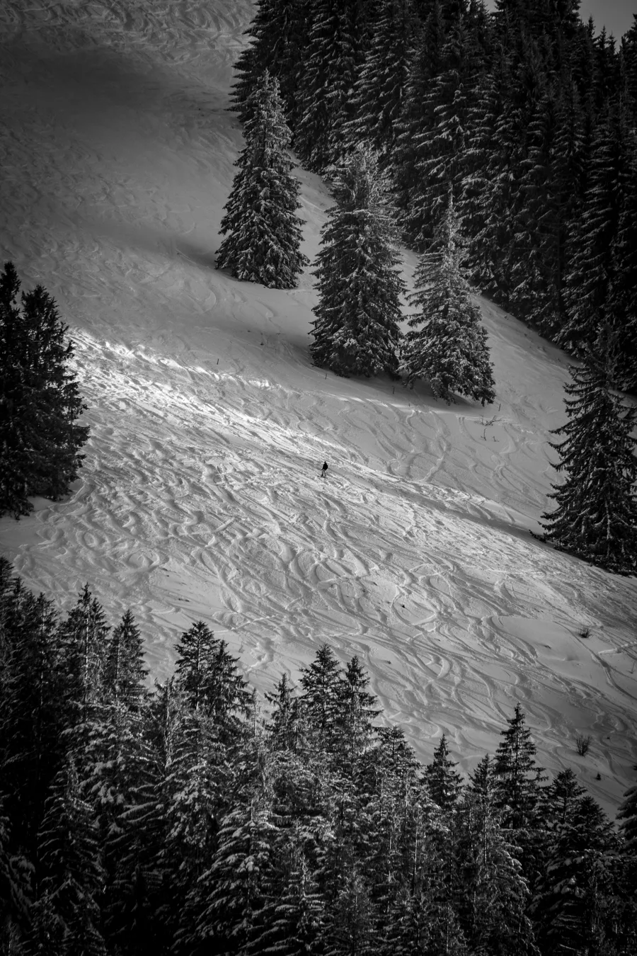 Aufnahme aus Balderschwang und Umgebung