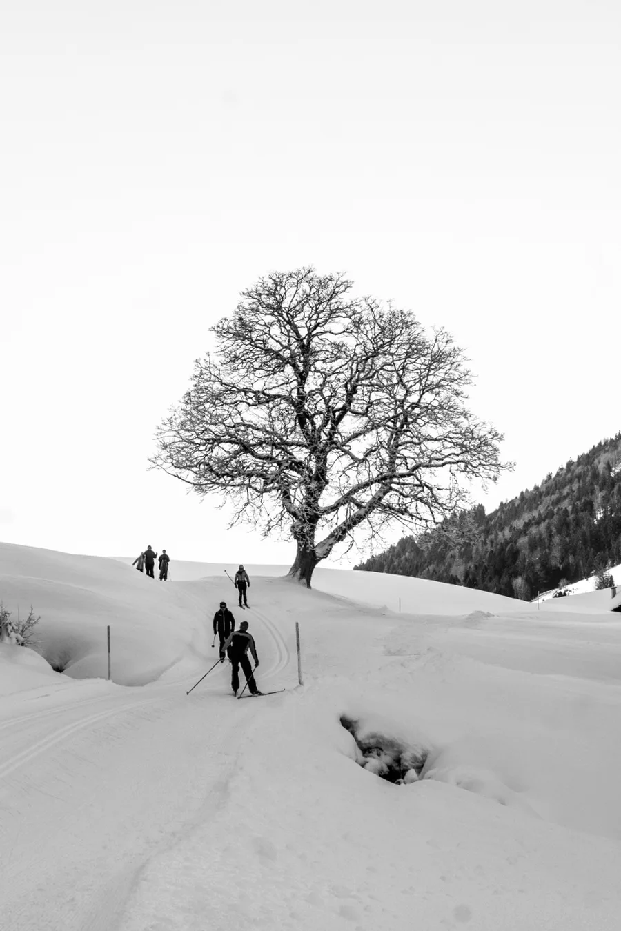 Aufnahme aus Balderschwang und Umgebung