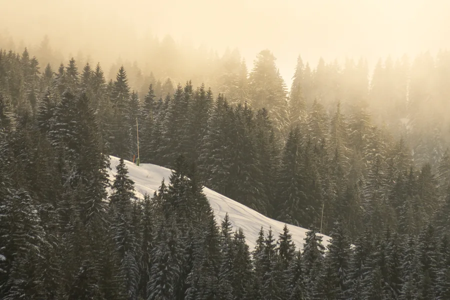 Aufnahme aus Balderschwang und Umgebung