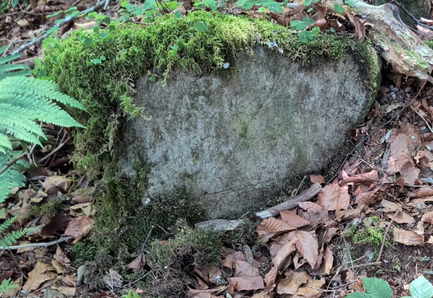 Balderschwang in der Vorzeit: Spuren an der Bolgenach