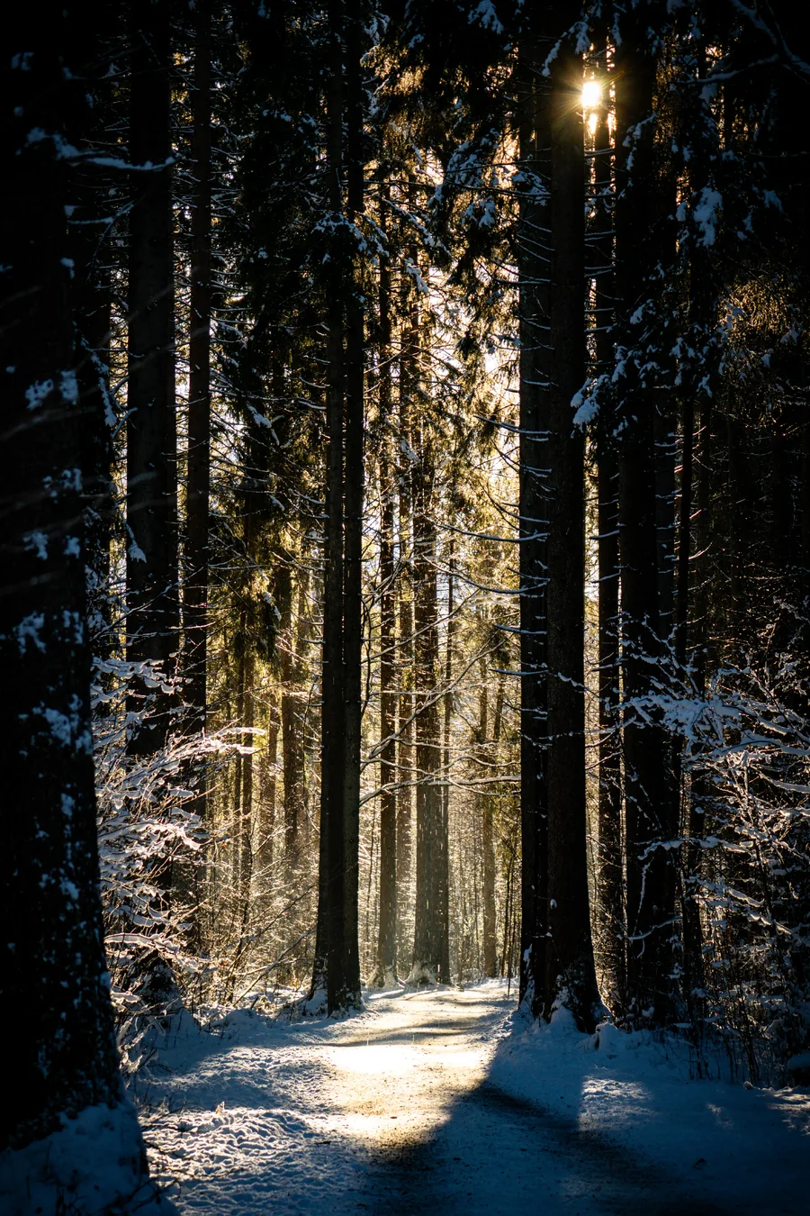 Aufnahme aus Balderschwang und Umgebung